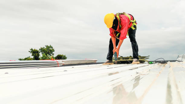 Fast & Reliable Emergency Roof Repairs in Lealman, FL