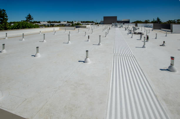 Best Hot Roofs  in Lealman, FL